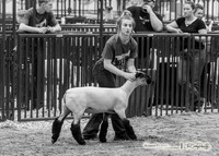 2023 Bakken Classic-8237