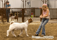 2023 Bakken Classic-6319