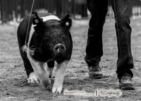 2023 Bakken Classic-5415