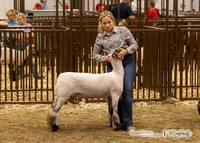 2023 Bakken Classic-8198