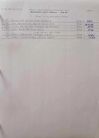 Senior 2nd Go, Pg3