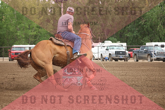 255A3629