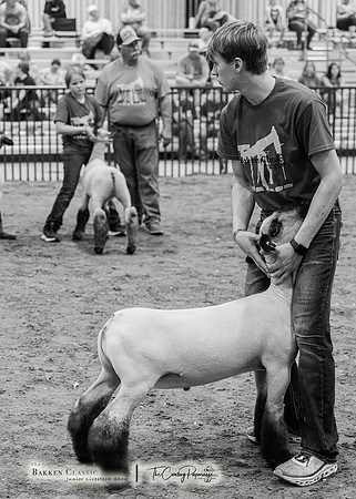 2023 Bakken Classic-8341