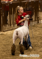 2023 Bakken Classic-8150