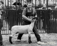 2023 Bakken Classic-8141