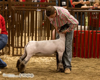 2023 Bakken Classic-8188