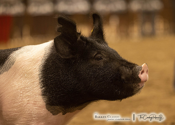 2023 Bakken Classic-6114