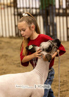 2023 Bakken Classic-8124