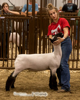 2023 Bakken Classic-8139