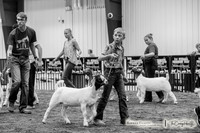 2023 Bakken Classic-6385