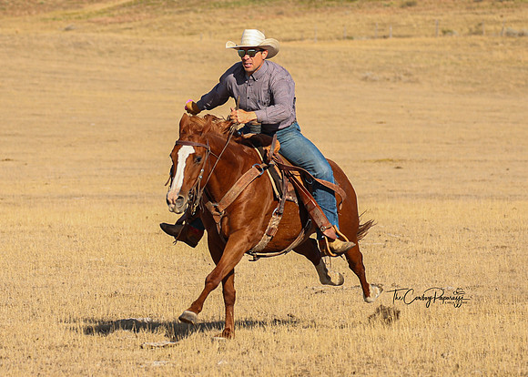 2024 McMillen Pasture Roping-3946
