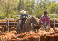 2025 LRA Hfr Branding-4233