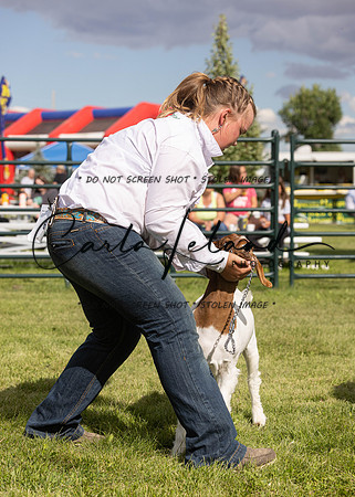 2023 Roosevelt County Fair Goat Show-4