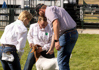2023 Roosevelt County Fair Goat Show-5