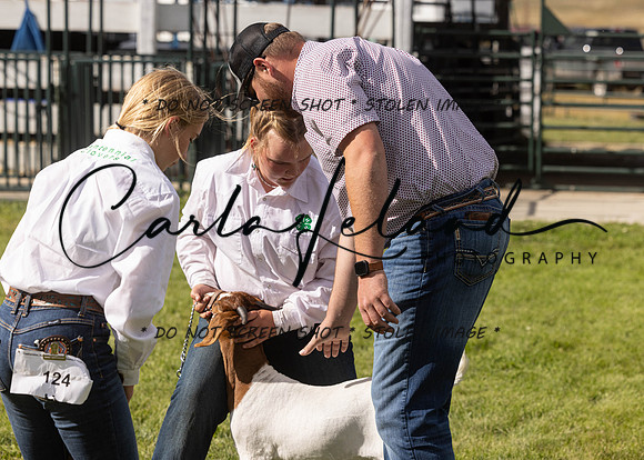2023 Roosevelt County Fair Goat Show-5