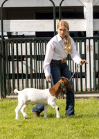 2023 Roosevelt County Fair Goat Show-7