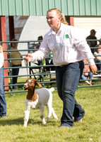 2023 Roosevelt County Fair Goat Show-8