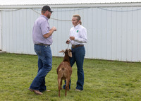 2023 Roosevelt County Fair Goat Show-11