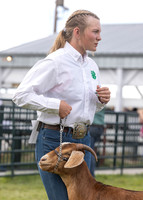 2023 Roosevelt County Fair Goat Show-13