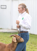 2023 Roosevelt County Fair Goat Show-17