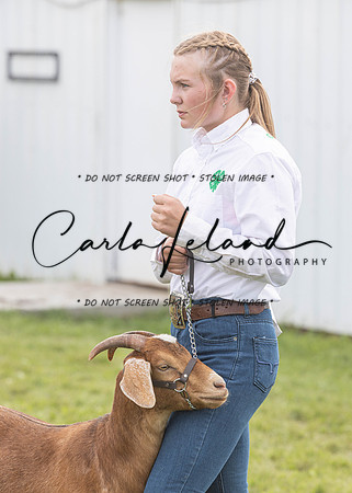 2023 Roosevelt County Fair Goat Show-17