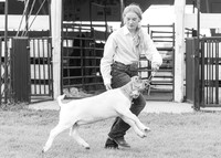 2023 Roosevelt County Fair Goat Show-18