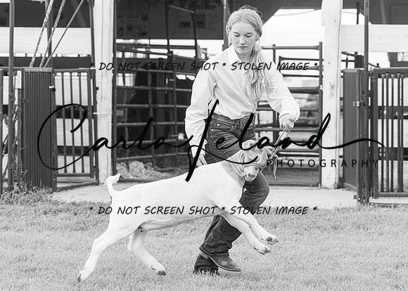 2023 Roosevelt County Fair Goat Show-18