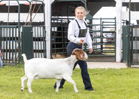 2023 Roosevelt County Fair Goat Show-19