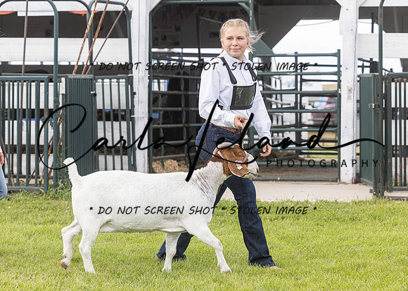 2023 Roosevelt County Fair Goat Show-19