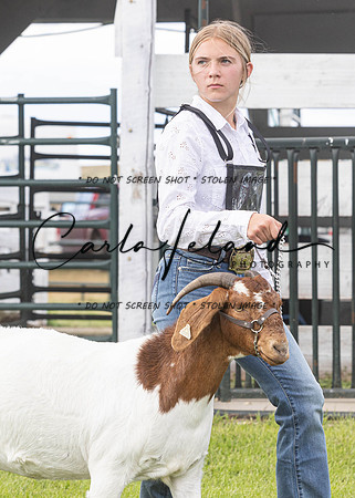 2023 Roosevelt County Fair Goat Show-21