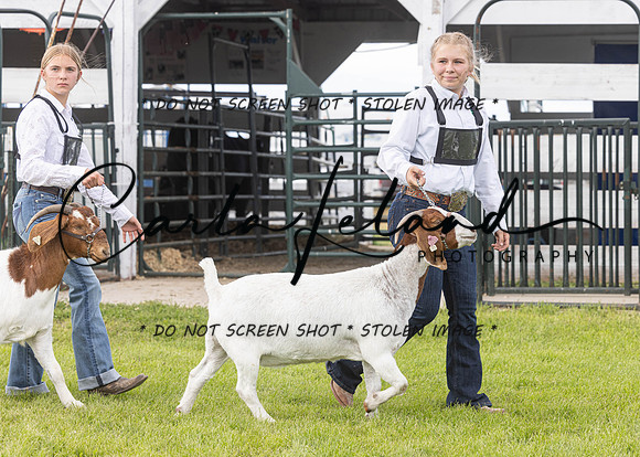 2023 Roosevelt County Fair Goat Show-20