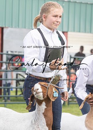 2023 Roosevelt County Fair Goat Show-22