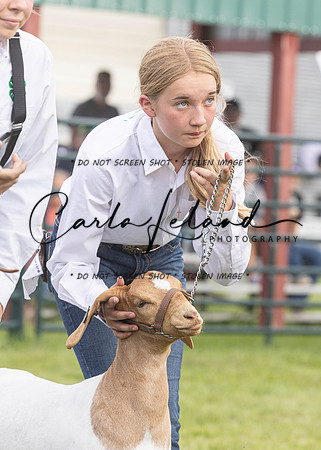 2023 Roosevelt County Fair Goat Show-23