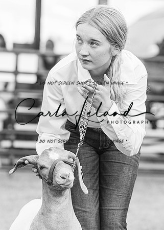 2023 Roosevelt County Fair Goat Show-24