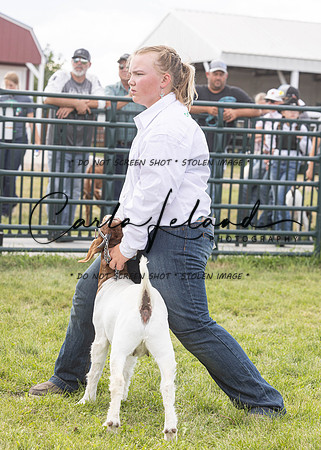 2023 Roosevelt County Fair Goat Show-25
