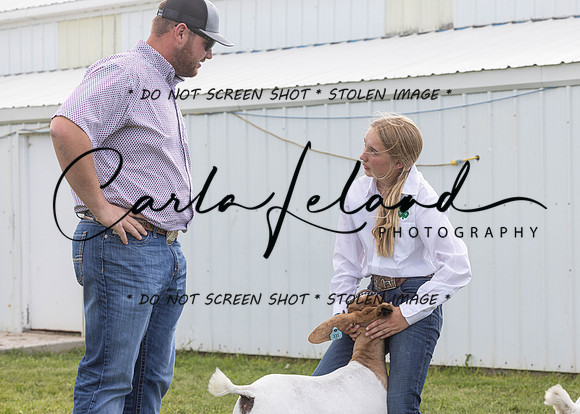 2023 Roosevelt County Fair Goat Show-28