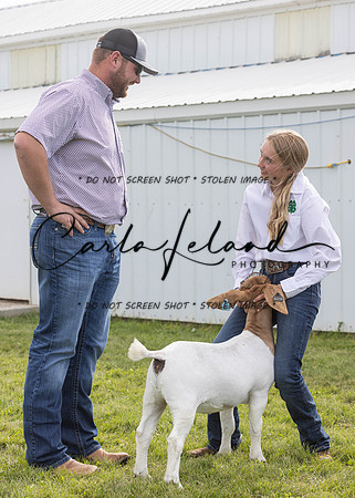2023 Roosevelt County Fair Goat Show-29