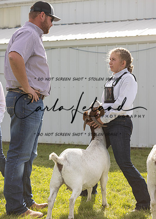 2023 Roosevelt County Fair Goat Show-30