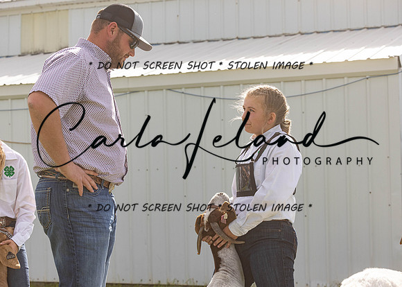 2023 Roosevelt County Fair Goat Show-31