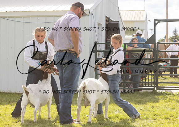 2023 Roosevelt County Fair Goat Show-33