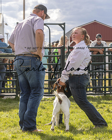 2023 Roosevelt County Fair Goat Show-34