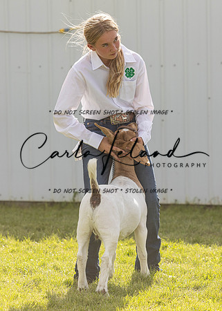 2023 Roosevelt County Fair Goat Show-35