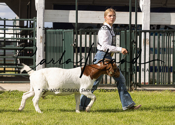2023 Roosevelt County Fair Goat Show-37