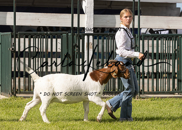 2023 Roosevelt County Fair Goat Show-38