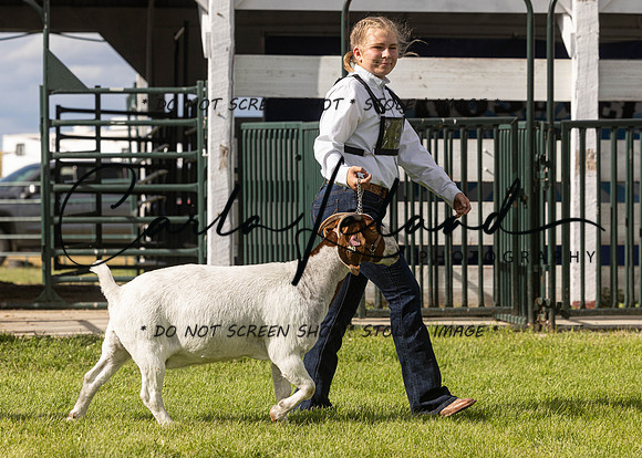 2023 Roosevelt County Fair Goat Show-39