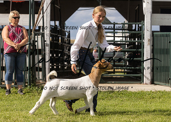 2023 Roosevelt County Fair Goat Show-40