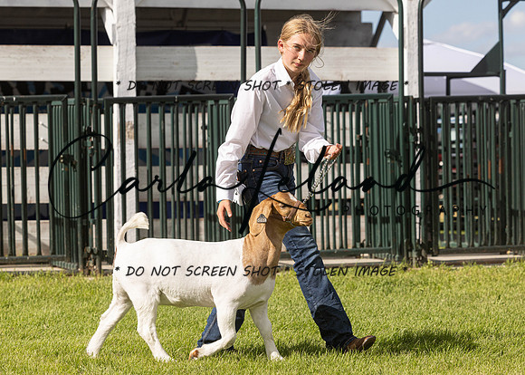 2023 Roosevelt County Fair Goat Show-41