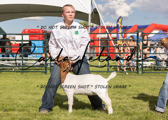 2023 Roosevelt County Fair Goat Show-44