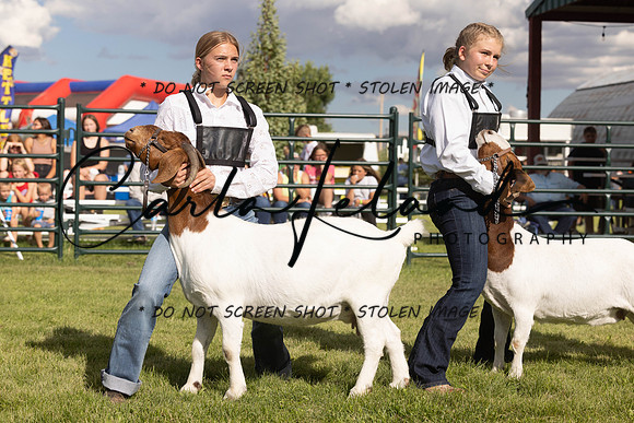2023 Roosevelt County Fair Goat Show-45