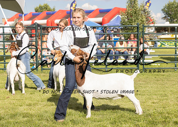 2023 Roosevelt County Fair Goat Show-46